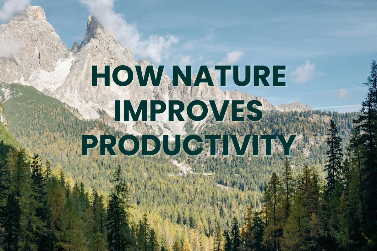 How nature improves productivity for remote workers
